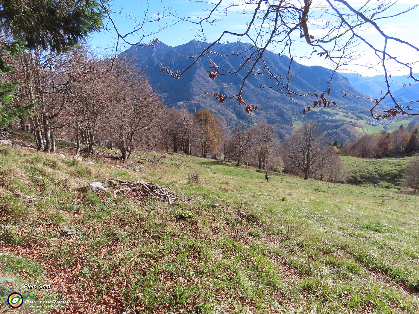 38 Scendiamo , attraversiamo tratto di faggeta per agganciare il sentiero per Baita Cascinetto-Amici del Menna.JPG